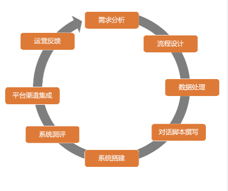 lifecycles